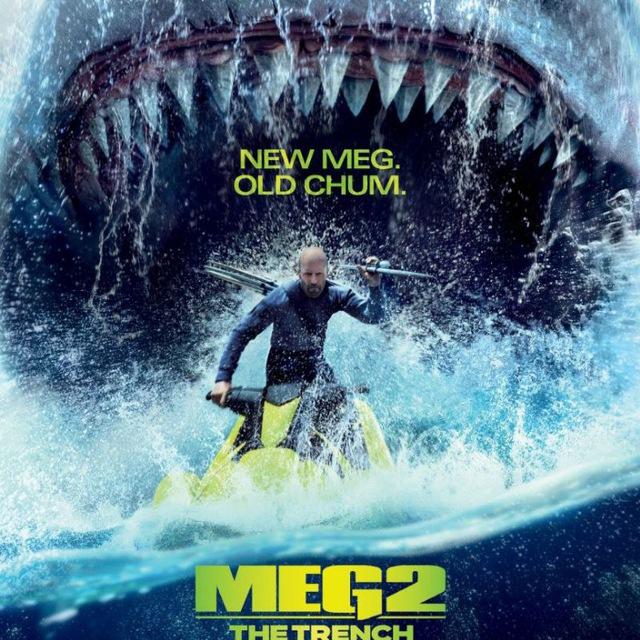 The meg 2