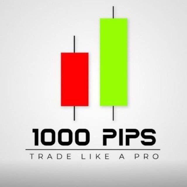 1000PIPS BUILDER (FOREX_MARKET)