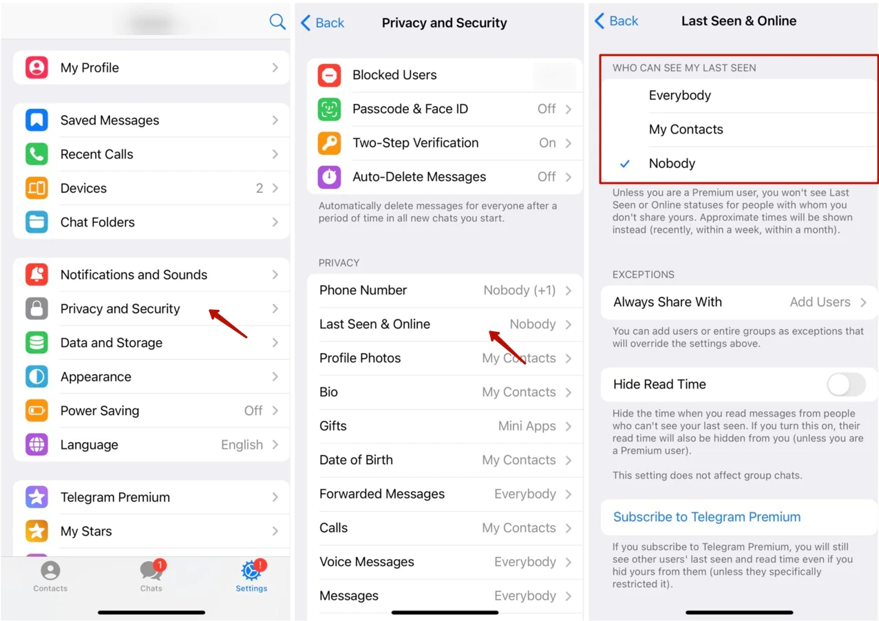 Telegram iPhone web Settings