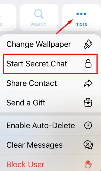 Telegram secret chat function