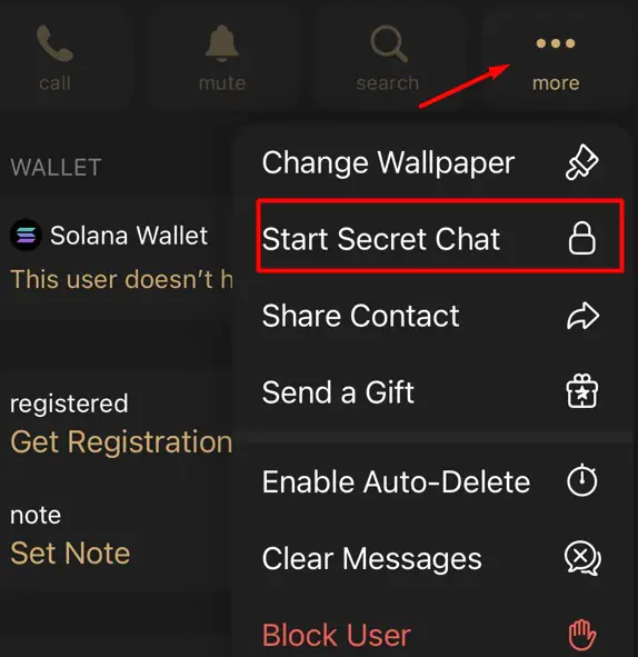 Nicegram secret chat function